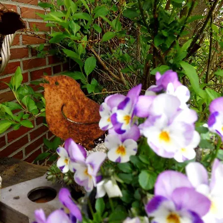 Fleur De Lys Urlaub Auf Anfrage Mit Hund *