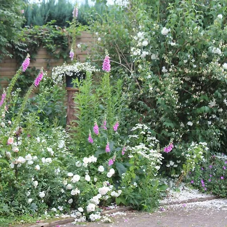 Fleur De Lys Urlaub Auf Anfrage Mit Hund Appartement