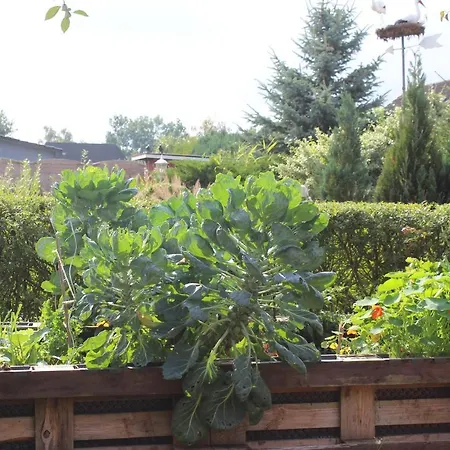 Fleur De Lys Urlaub Auf Anfrage Mit Hund Trappenkamp