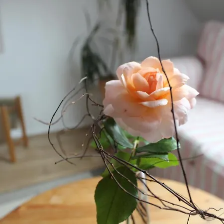 Lägenhet Fleur De Lys Urlaub Auf Anfrage Mit Hund Trappenkamp