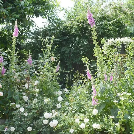 Fleur De Lys Urlaub Auf Anfrage Mit Hund Appartement